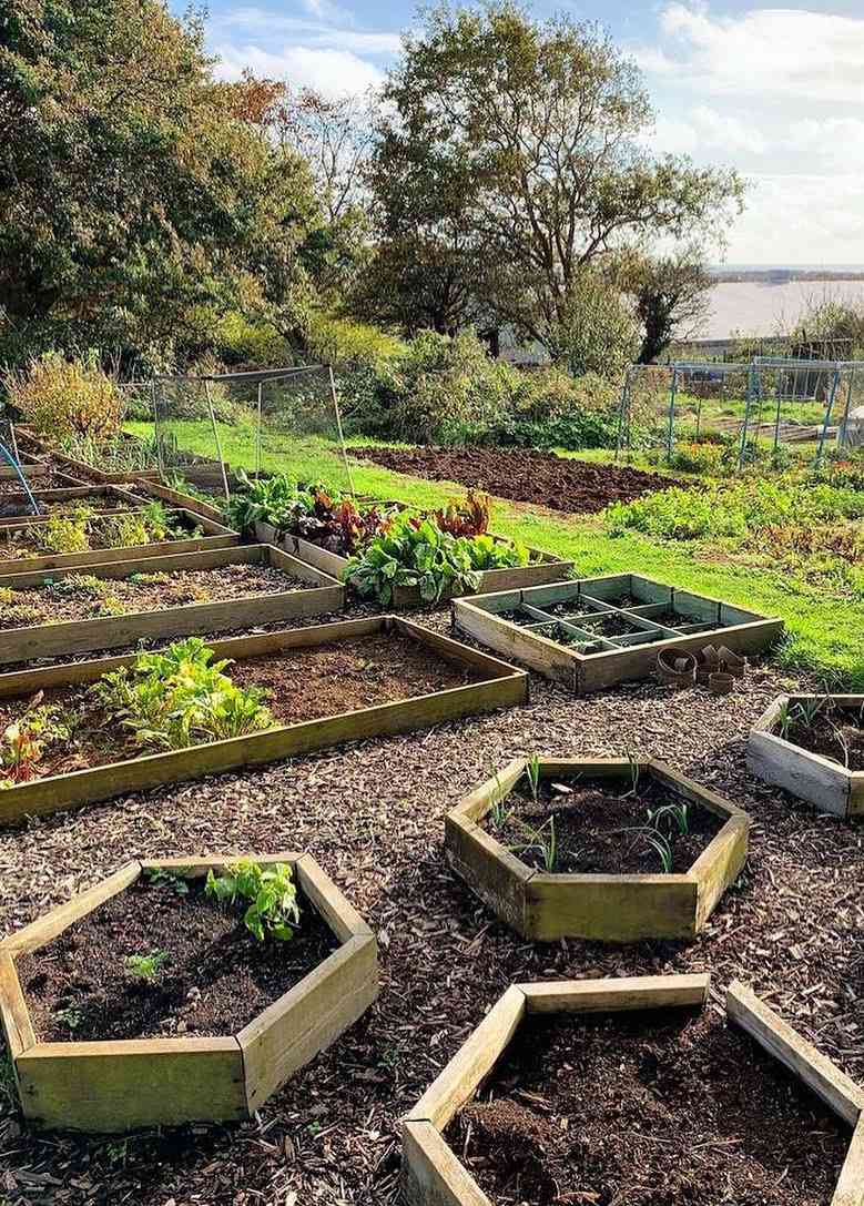 Growing Crops –                                  Things to Think of Part 2